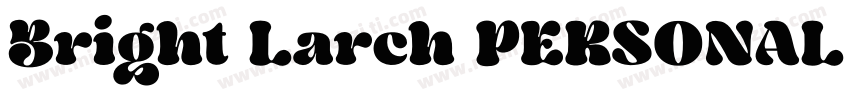 Bright Larch PERSONAL USE ONLY字体转换